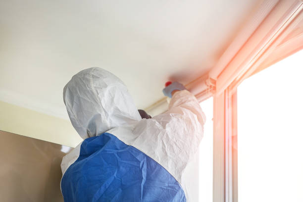 Best Environmental Consulting for Mold Prevention  in USA